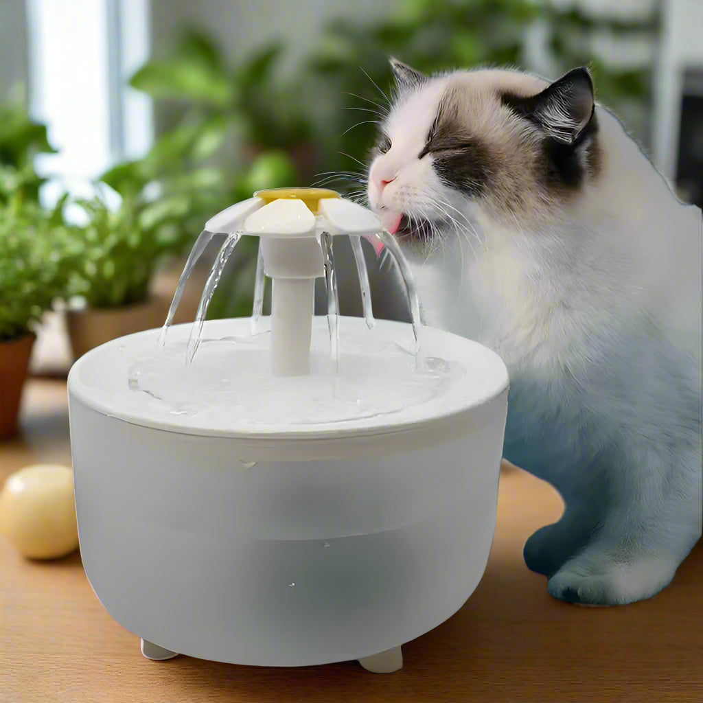 Pets Water Fountain Auto Filter USB Electric Mute Cat Drinker Bowl 1200Ml Recirculate Filtring Drinker for Cats Water Dispenser