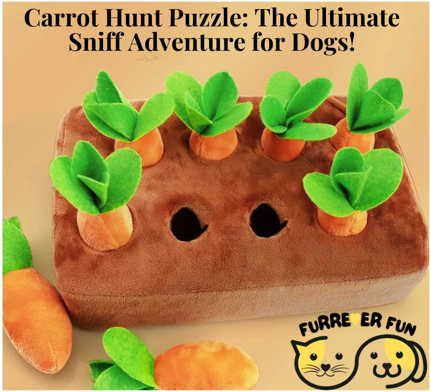 Carrot Hunt Puzzle