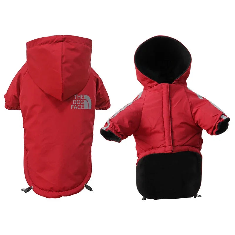 The North Paw Rain Jacket