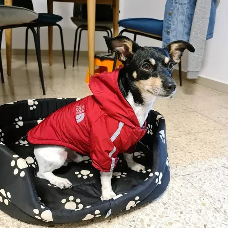 The North Paw Rain Jacket