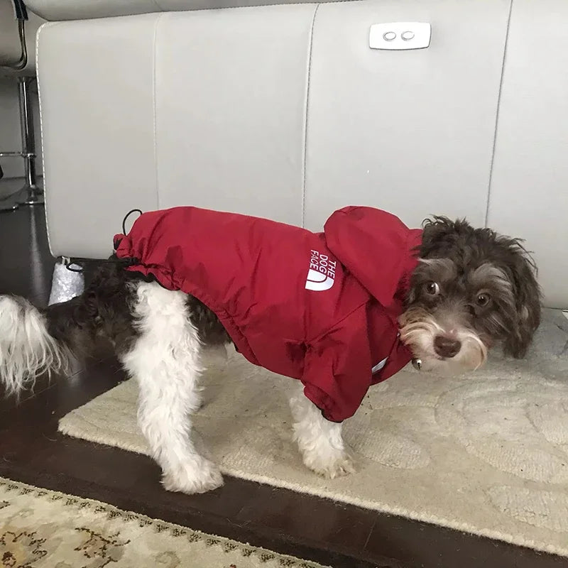 The North Paw Rain Jacket