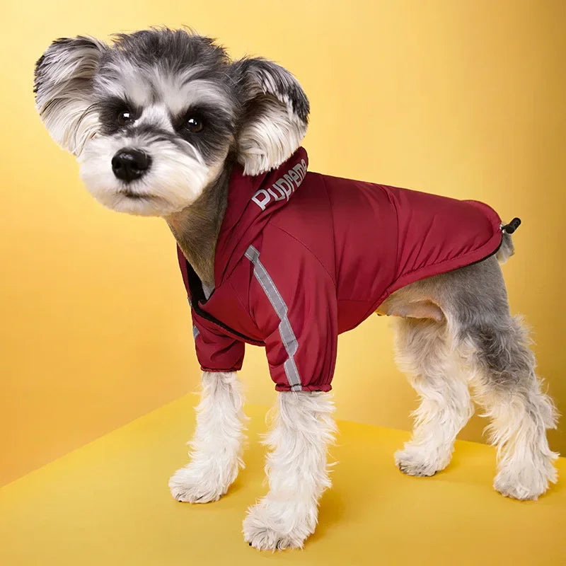 The North Paw Rain Jacket